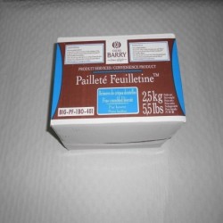 PAILLETE FEUILLETINE C/2,5 KG REF 4/BIG-PF-1BO-401