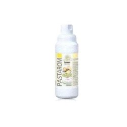 PASTAROM LIMON BT/1 KG REF 6/D1789040/789