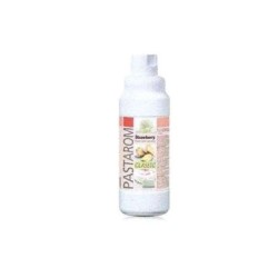 PASTAROM FRESA BT/1 KG REF D1793047/793