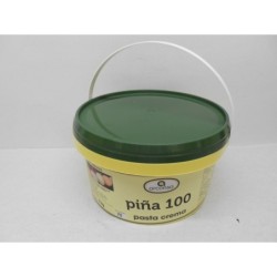 PASTA CREMA PIÑA BT/3 KG REF 3302680