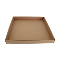 BATEA REPARTO GRANDE 49x34x4 PQ/50 UD