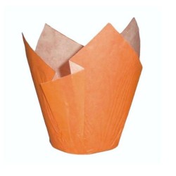 CAPS TULIPA NARANJA 160x50 200 UD REF V9I60298CH