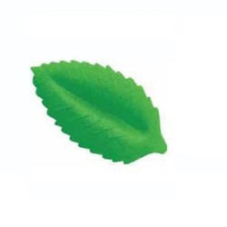 HOJAS VERDES OBLEA TUPPER/1000 UD REF 4/7778000206