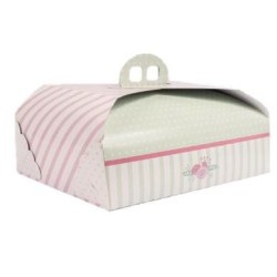 CAJA RECTANGULAR AGATA 33x26x9 PQ/50 UD REF 9