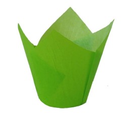 CAPS TULIPA VERDE 160x50 200 UD REF V9I60529CH