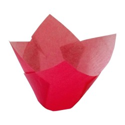 CAPS TULIPA ROJA 160x50 200 UD REF V9I60608CH