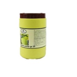 GRANIZADO LIMON PASTA GR-20 BT/1,5 KG REF 4/3305770