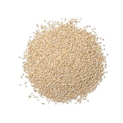 SEMILLAS QUINOA BLANCA SALOMON BT/900 GR REF 117/00001