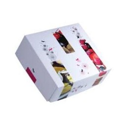 CAJA RECTANG PASTAS (2 K) *TRIO/GALA* 26x18x8 PQ/50 UD