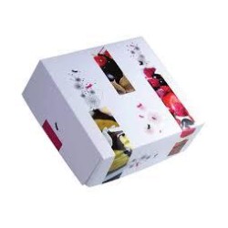 CAJA RECTANG PASTAS (1 Y 1/2) *TRIO/GALA* 23x16x7 PQ/50 UD