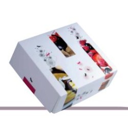 CAJA CUADRADA CON TAPA TRIO 32x32x8 PQ/50 UD