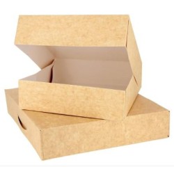 CAJA CUADRADA CON TAPA KRAFT 22X22X8 PQ/50 UD