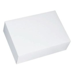 CAJA BLANCA RECT CON TAPA 17x14x6 PQ/50 UD
