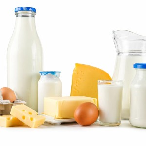 NATAS QUESOS LACTEOS Y OVOPRODUCTO